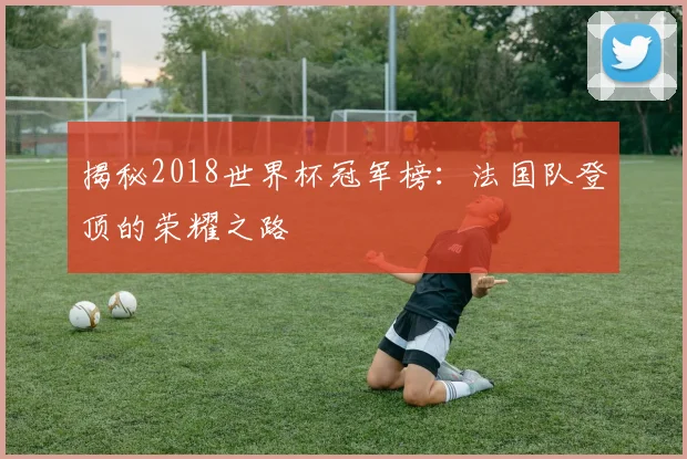 揭秘2018世界杯冠军榜：法国队登顶的荣耀之路