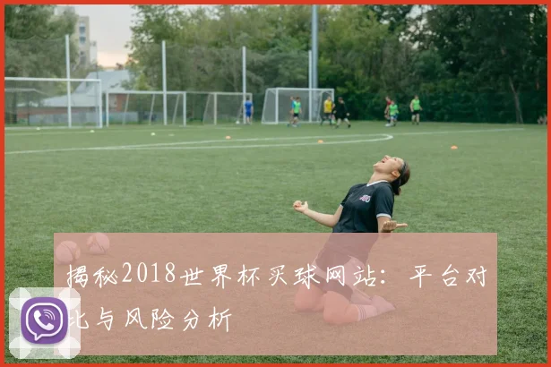 揭秘2018世界杯买球网站：平台对比与风险分析