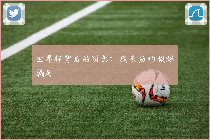 世界杯背后的阴影：我亲历的假球骗局