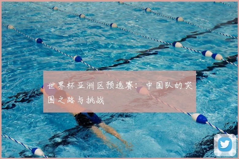 世界杯亚洲区预选赛:中国队的突围之路与挑战